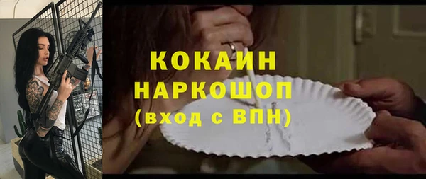 ПСИЛОЦИБИНОВЫЕ ГРИБЫ Абаза
