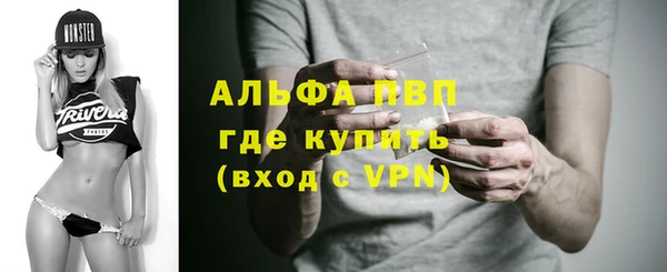 ПСИЛОЦИБИНОВЫЕ ГРИБЫ Абаза