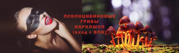 ПСИЛОЦИБИНОВЫЕ ГРИБЫ Абаза